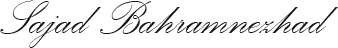Sajad Bahramnezhad